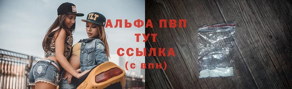 кокс Инсар