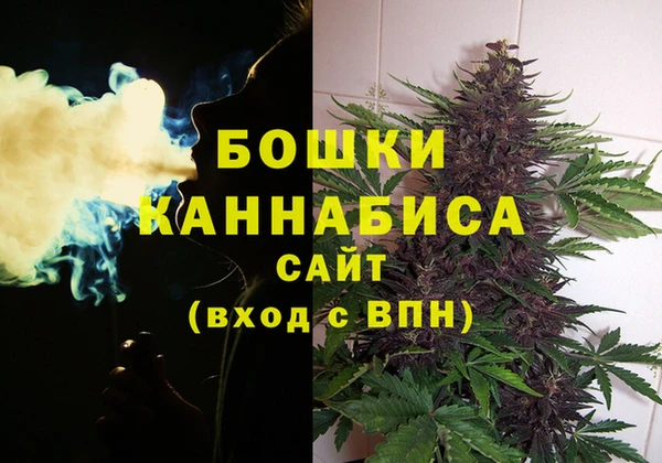 кокс Инсар