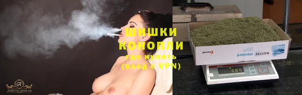 кокс Инсар