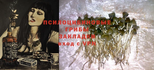 кокс Инсар