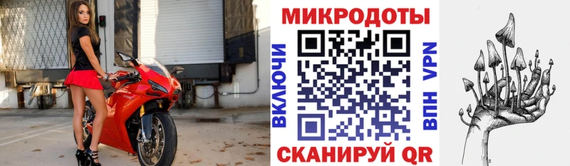 Псилоцибиновые грибы Cubensis  Купить где  Железноводск 